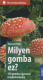 Milyen gomba ez?